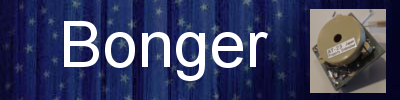 Bonger Project